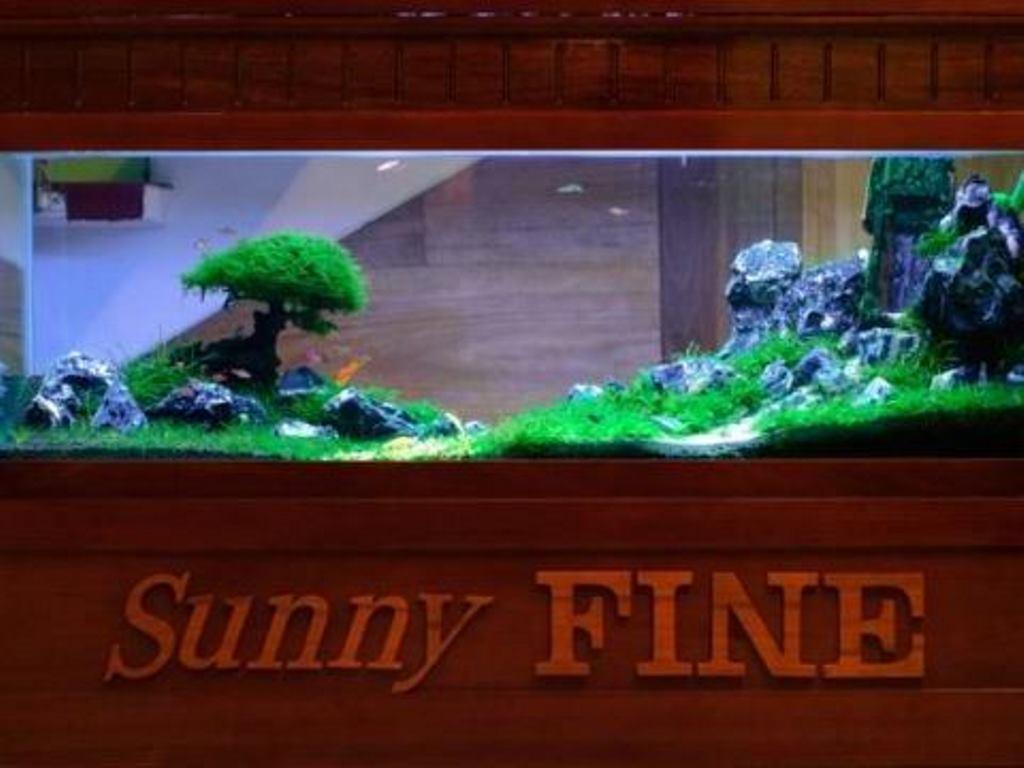 Sunny Fine Guesthouse Hue Εξωτερικό φωτογραφία